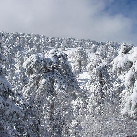 Jubilee Hotel Troodos Exterior photo