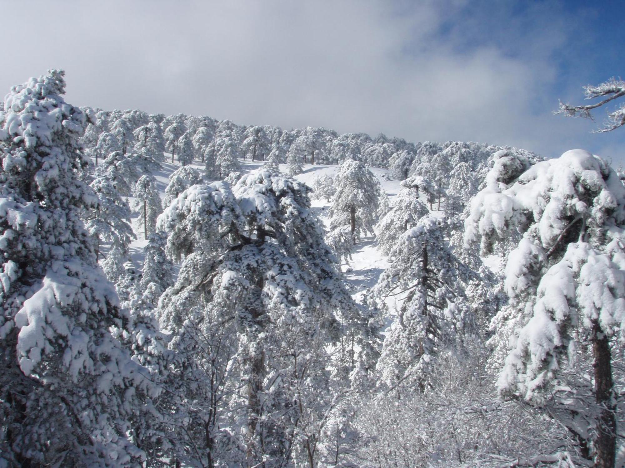 Jubilee Hotel Troodos Exterior photo