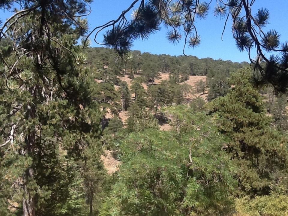 Jubilee Hotel Troodos Room photo