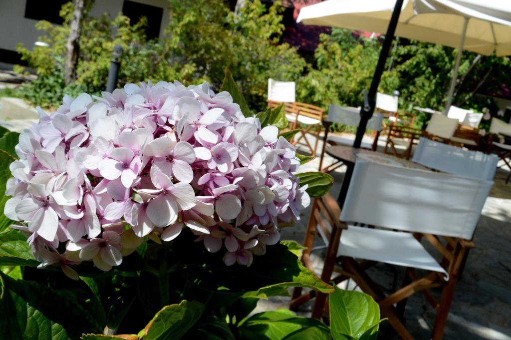Jubilee Hotel Troodos Exterior photo