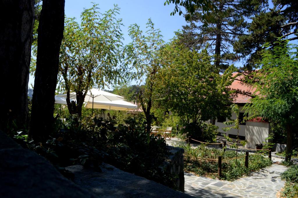 Jubilee Hotel Troodos Exterior photo